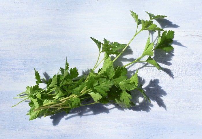 fresh parsley