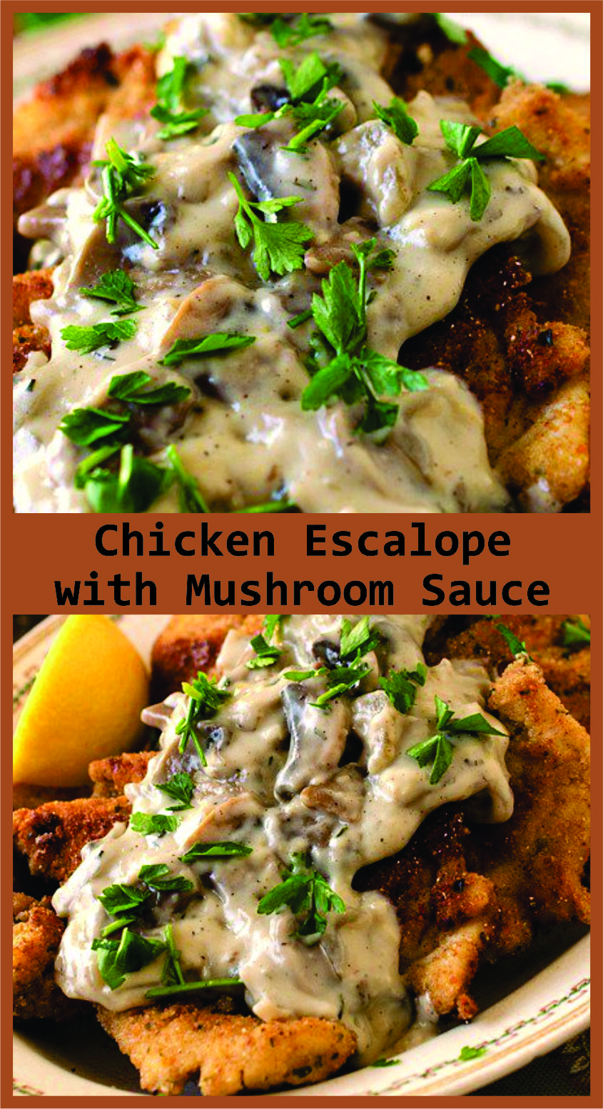 Chicken Escalope with Mushroom Sauce Recipe Spesial Food