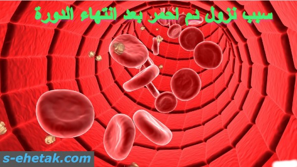 سبب نزول دم احمر بعد انتهاء الدورة سبب نزول دم احمر بعد انتهاء الدورة