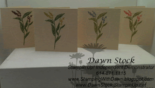 Dawn Stock Stamping Stampin StampingWithDawn Nature Walk Markers Designer Frames Embossing Folder Stamping With Dawn