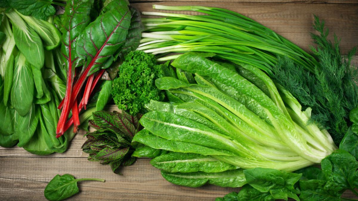 Sayuran Hijau yang Mudah Ditanam untuk Pemula