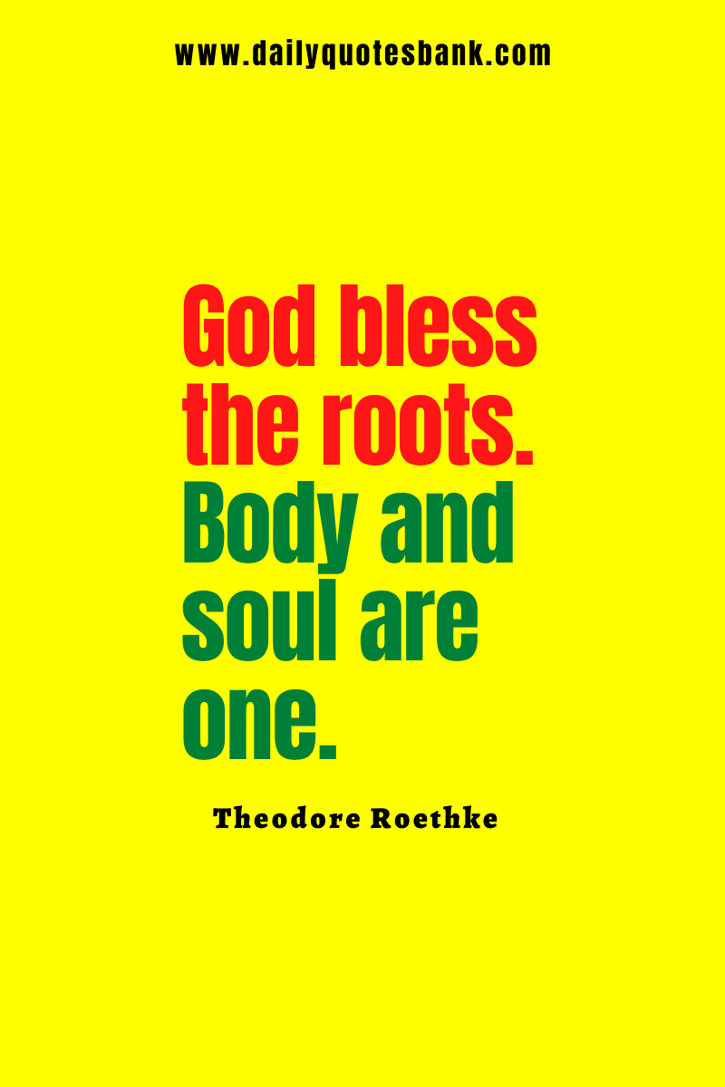 101 Roots Quotes That Will Help Always Remember Your Roots