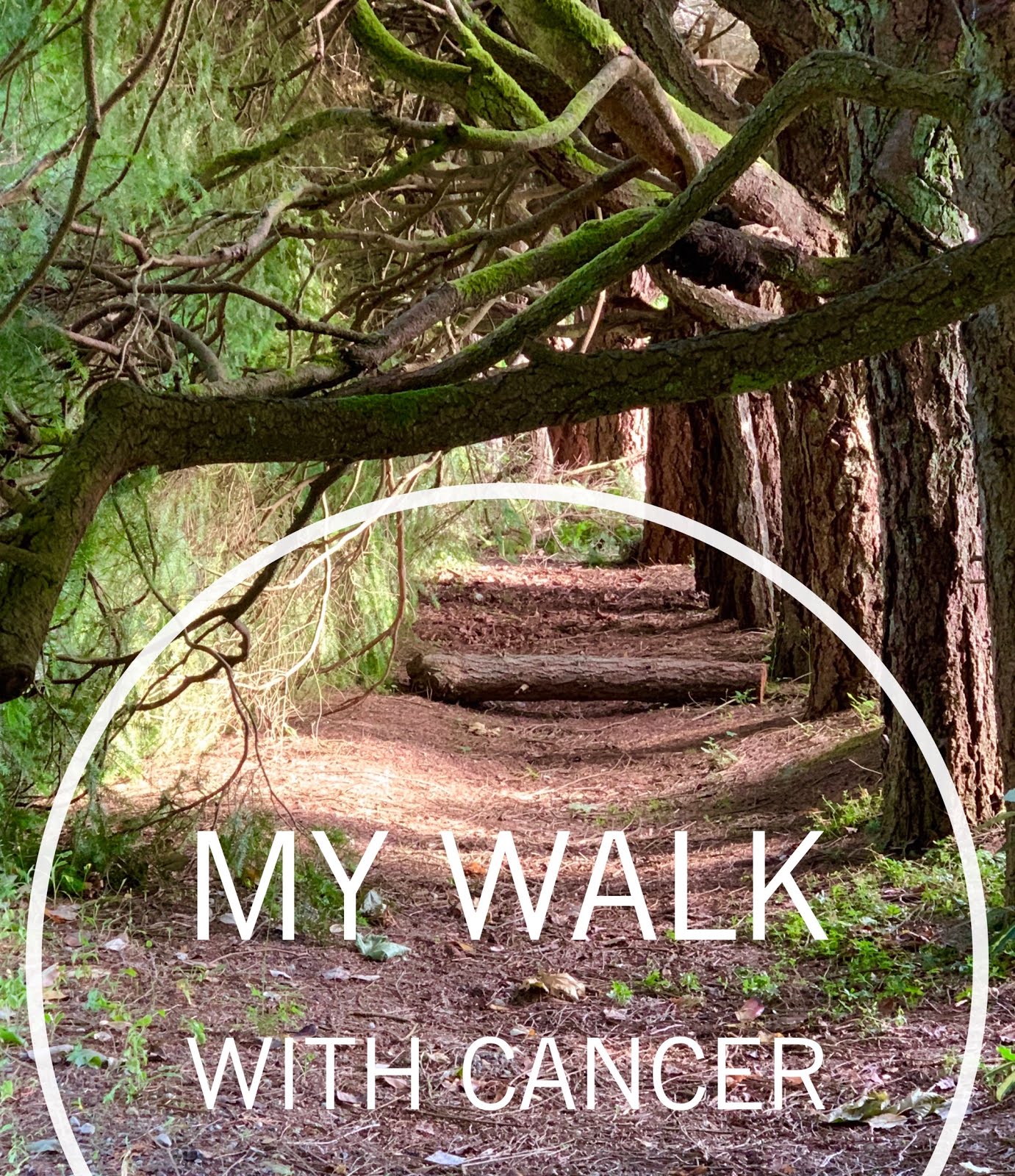 My Journey With Cancer