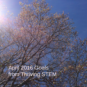 A look at my goals as blogger, mom, and home maker in April 2016.