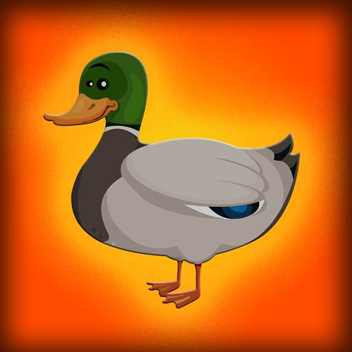 Baby Mallard Duck Escape