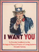 I want you to provide feedback to the Biological Physics/Physics of Living Systems decadal survey.