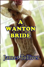 https://www.ronaldbooks.com/Erotica-13/A+Wanton+Bride+by+James+Tolliver-3011