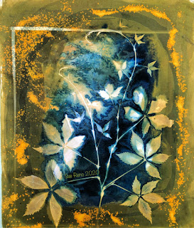 Wet cyanotype_Sue Reno_Image 828