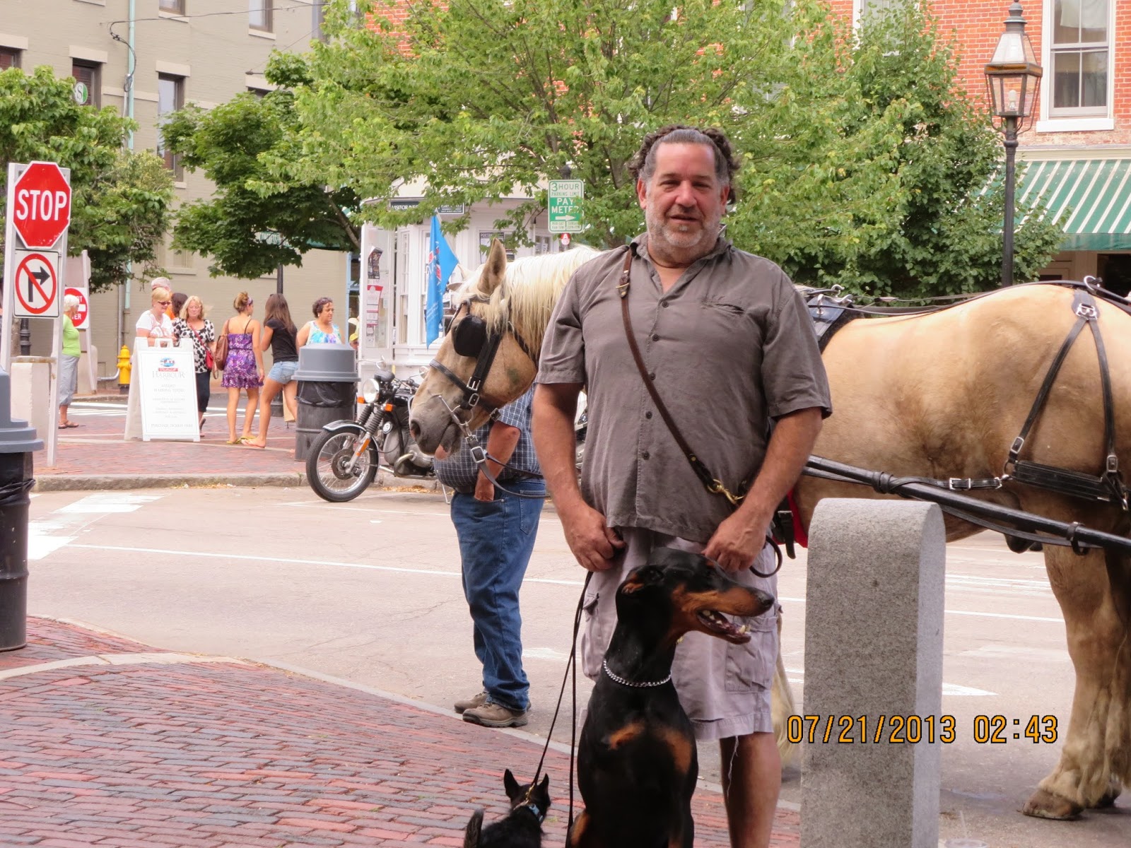 mannerly mutts dog training