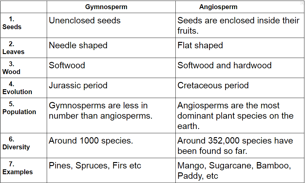 Differences between gymnosperm and angiosperm