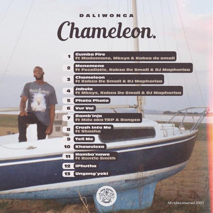 Daliwonga Chameleon Album 2020 Download Google Drive