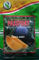 Semangka Berbiji, Benih Semangka, Semangka Kuning, Semangka Passport, Semangka Kuning Passport, Semangka Madu Passport, Jual Semangka Passport, Semangka Passport Murah, Agri Makmur Pertiwi, Benih Pertiwi, Lmga Agro