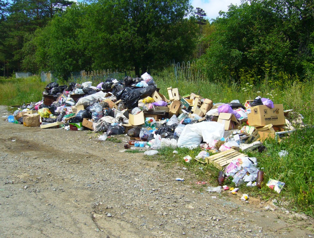 Нижняя Тура - город моей мечты, пусть он будет лучше.: Про вывоз мусора…