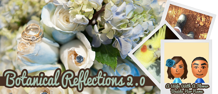 Botanical Reflections 2.0