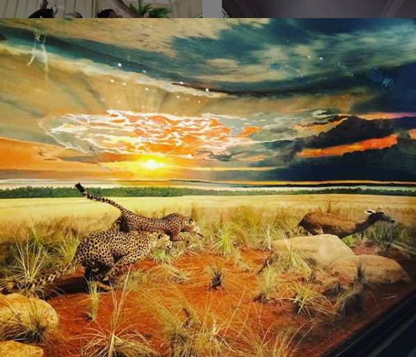 Tiga (3) Rekomendasi Tempat Wisata Edukasi Populer Di Malang - Media