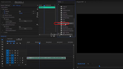 edit audio adobe premiere pro cc - Parametric Equalizer