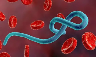 Um paciente de um hospital no sul da Suécia está sendo testado para o Ebola