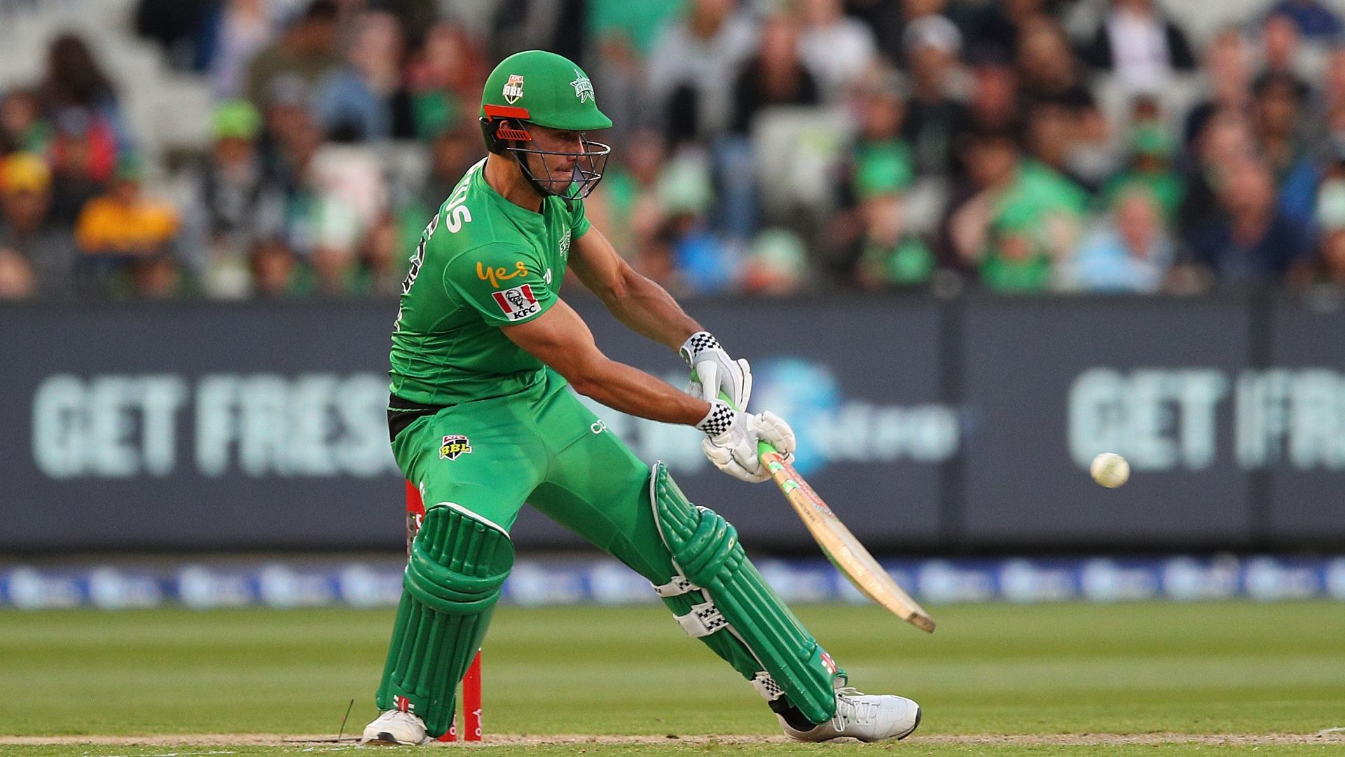 Cricket Fielding Positions