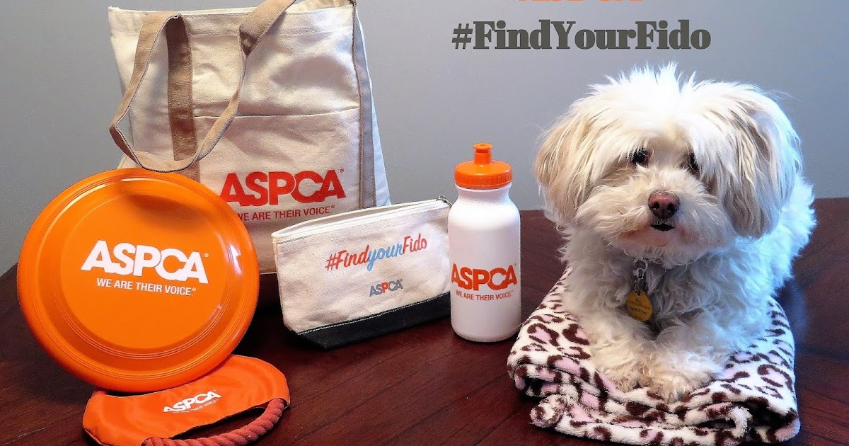 Dogs Luv Us and We Luv Them It's always a great time to adopt a pet