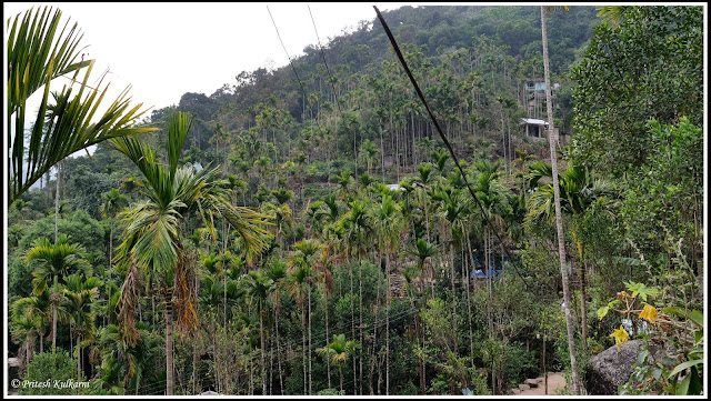 From Nongriat Village