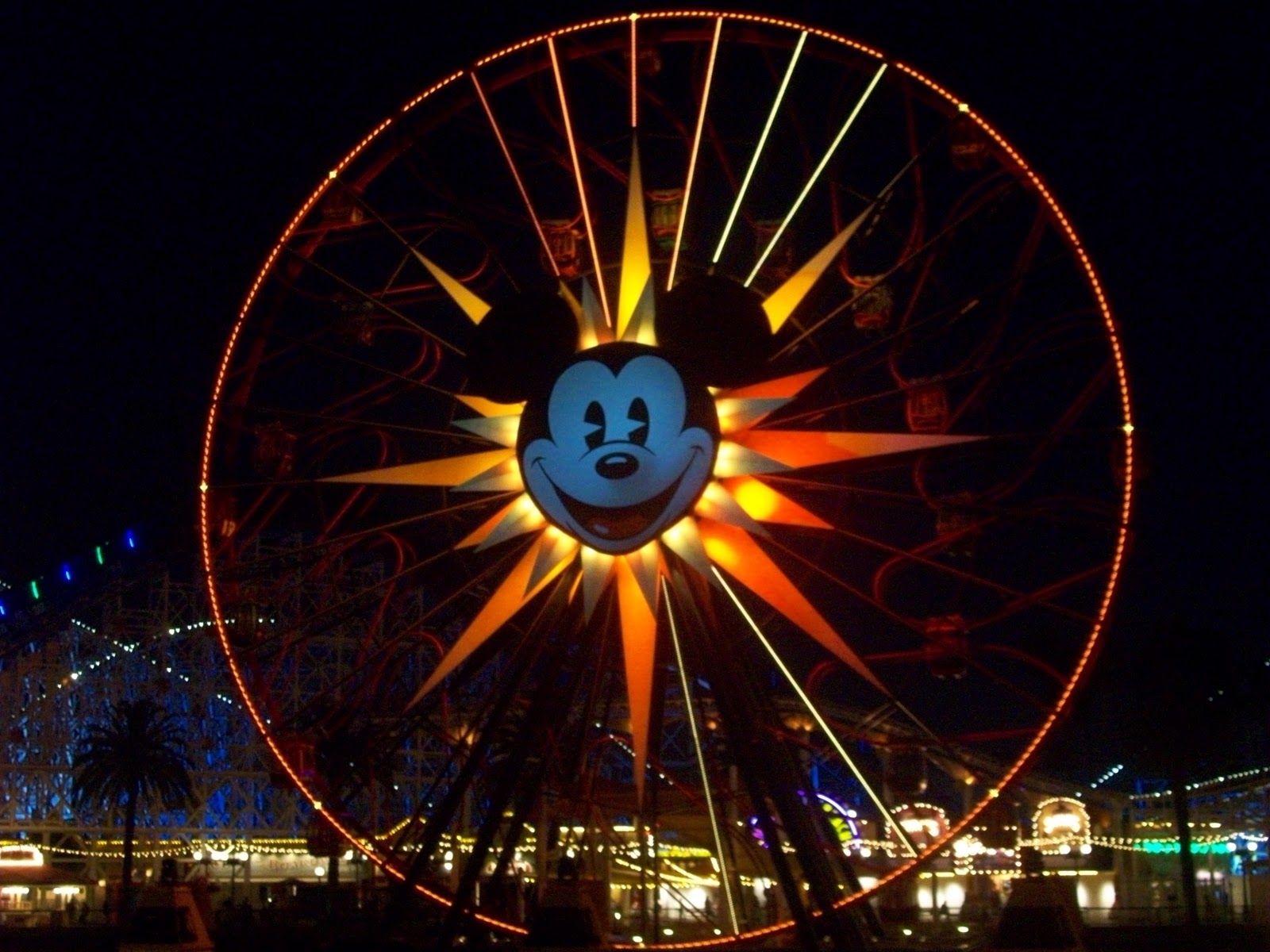 Life sunny Side Up Disney Fun