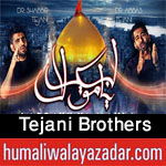 http://www.humaliwalayazadar.com/2013/06/shabbir-and-abbas-tejani-nohay-2007-2013.html
