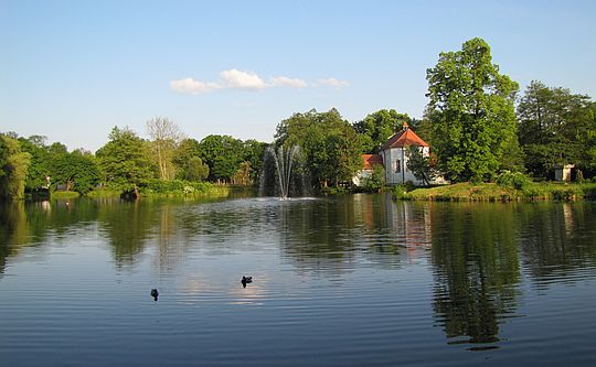 Staw kościelny. Staw kościelny.
