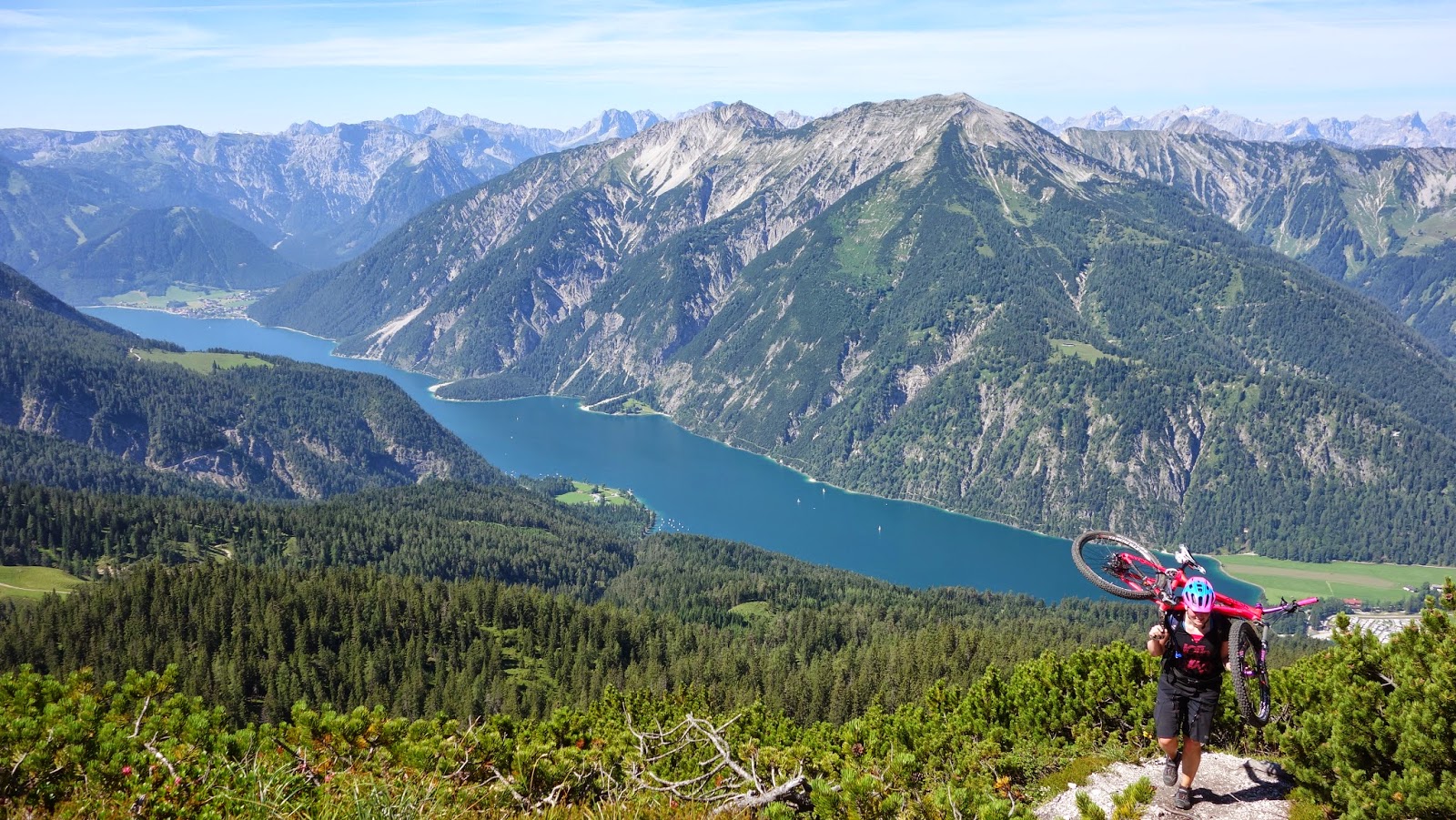 Das Grune Herz Der Nation Im Praxistest Stutzen Der Gesellschaft