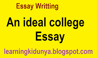 An ideal college Essay