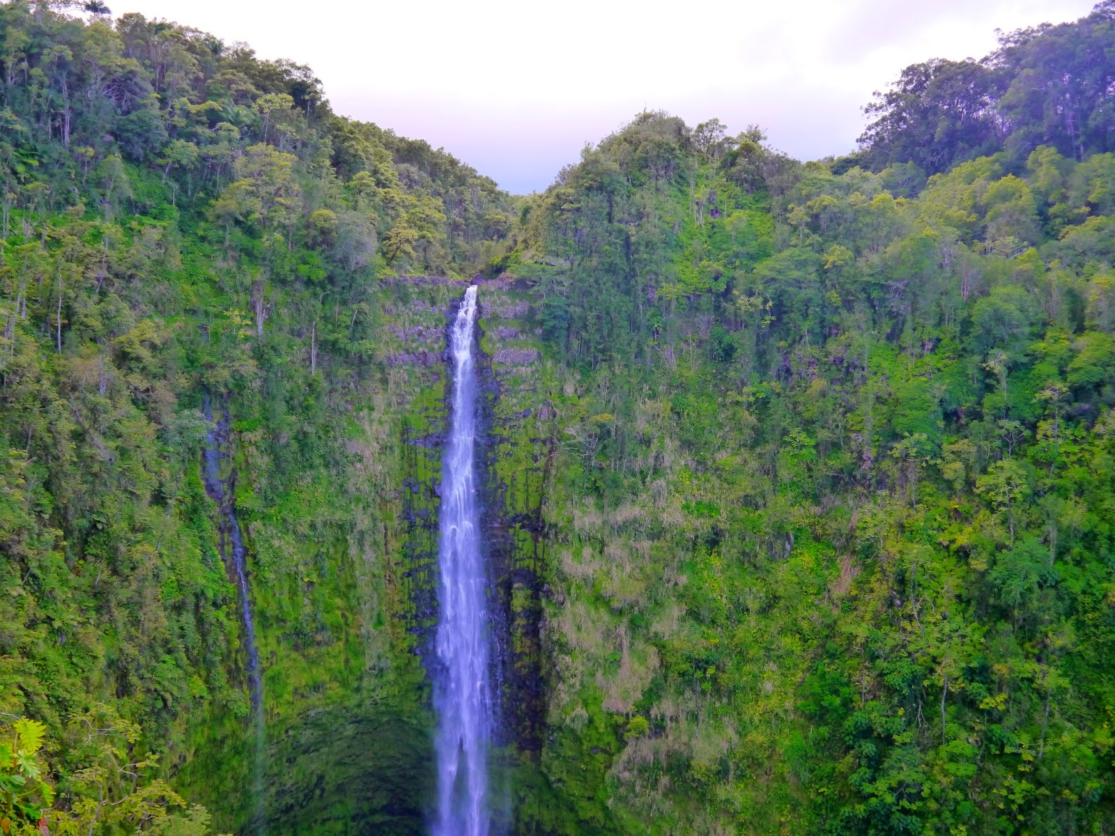 American Travel Journal 'Akaka Falls State Park Honomu, Hawaii
