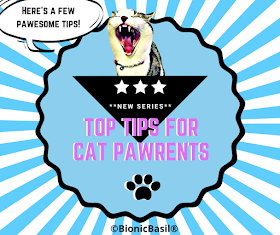 Top Tips For Cat Pawrents Banner ©BionicBasil® 