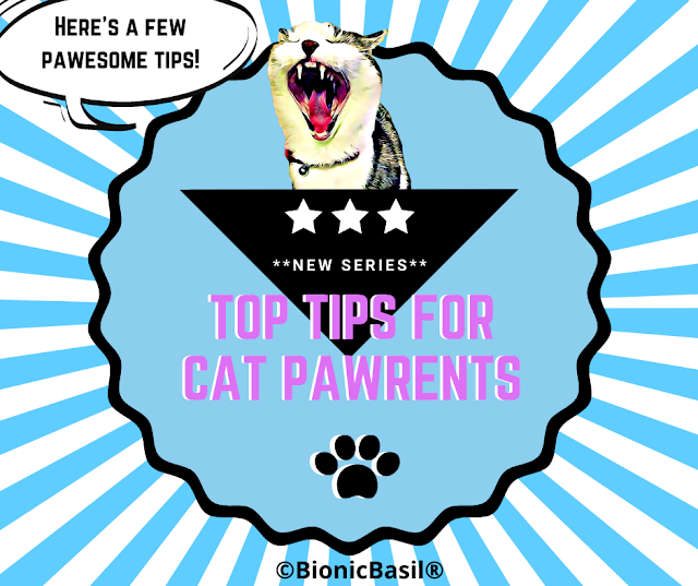 Top Tips For Cat Pawrents Banner ©BionicBasil®