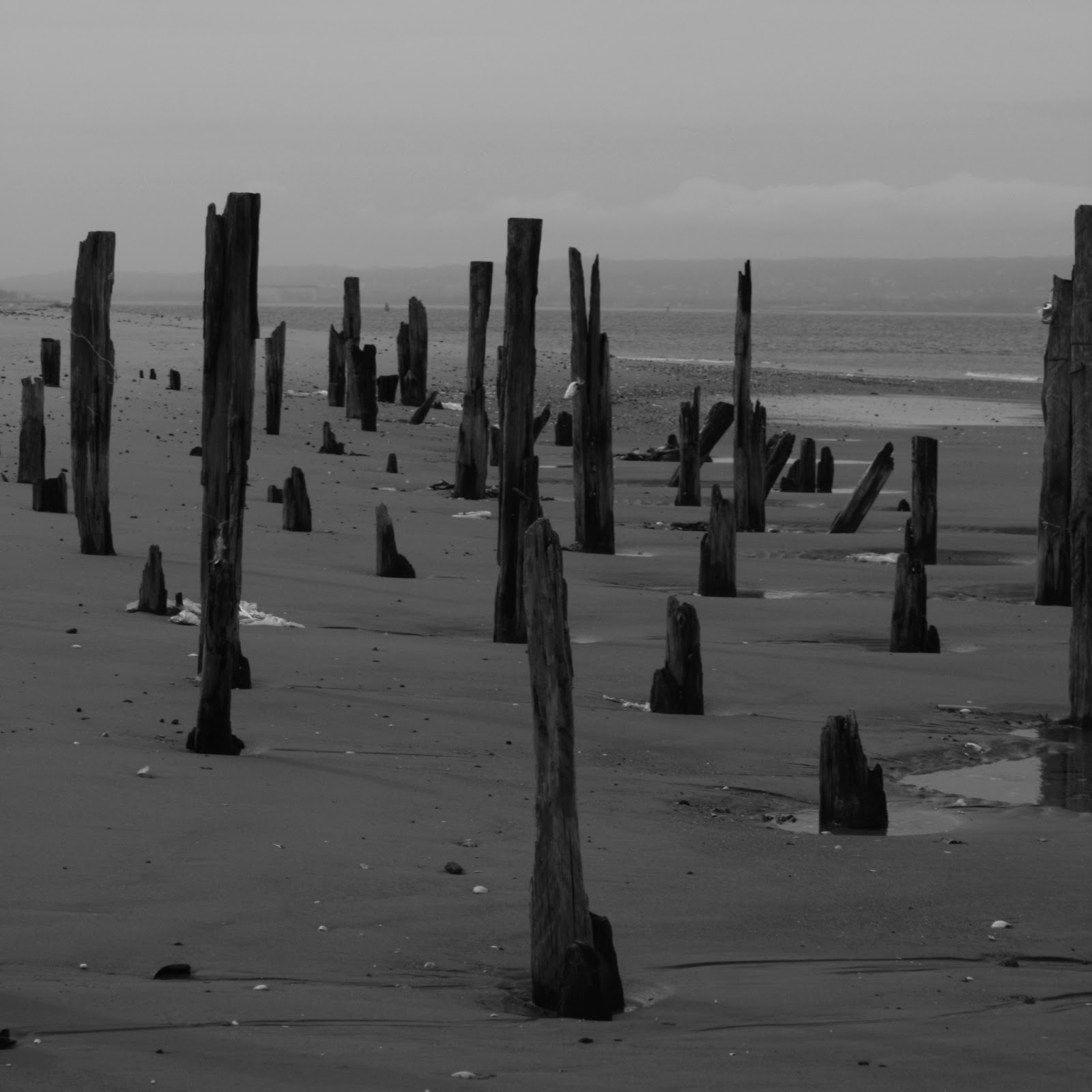 thomas' new york diary The Beach of Coney Island Gravesend Bay
