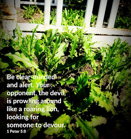 Devotional About Keeping Alert
