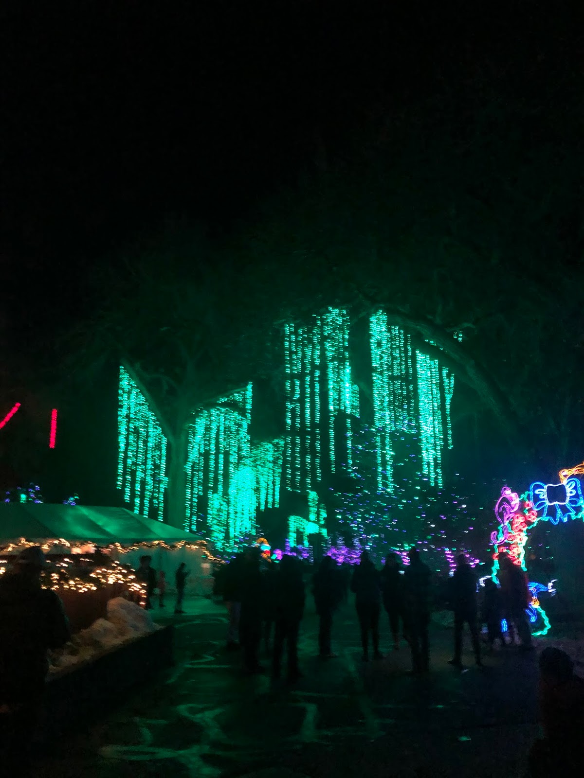 A New Day Denver Zoo Lights.