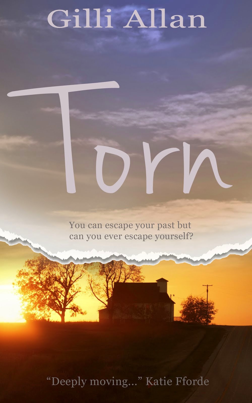 TORN by Gilli Allan