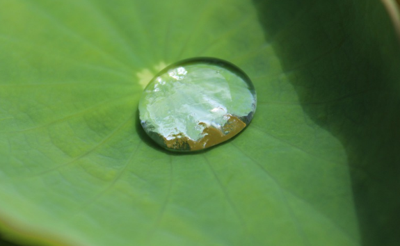 CONTOH PTK IPA SD MODEL PEMBELAJARAN INKUIRI TERBIMBING