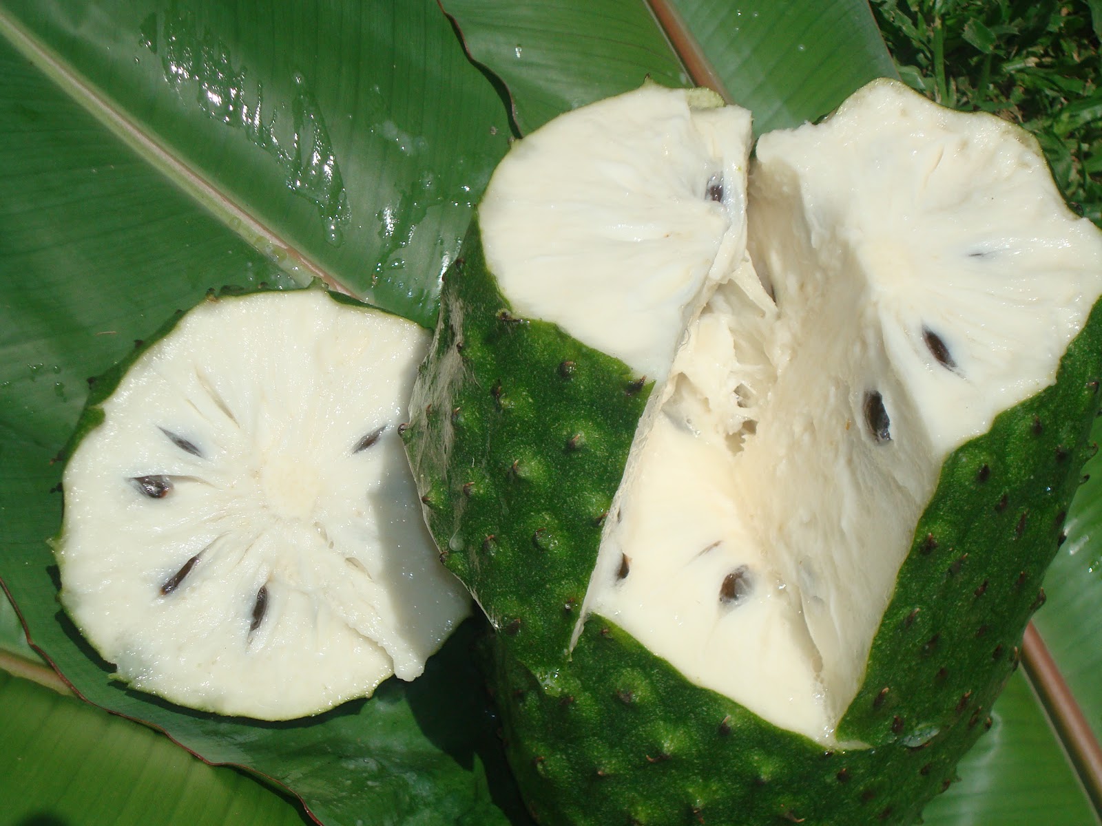 guanabana espadrilles
