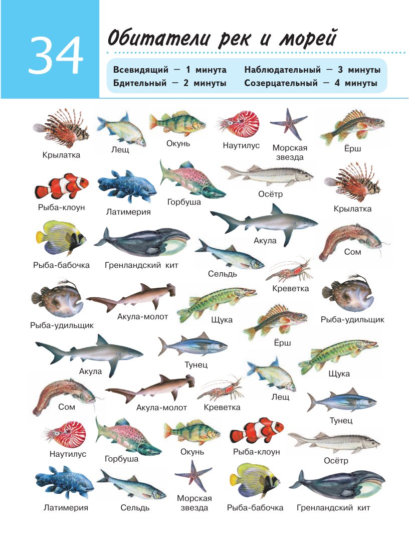 Обитатели рек и океанов. Морские рыбы для детей с названиями. Карточки рыбы для детей. Названия морских рыб и животных. Речные обитатели.