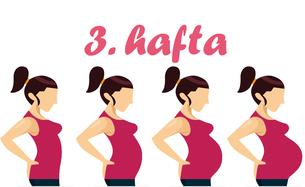 3 haftalik gebelik hamilelik