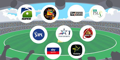 Best Source to Watch Live Cricket Streaming in Pakistan 