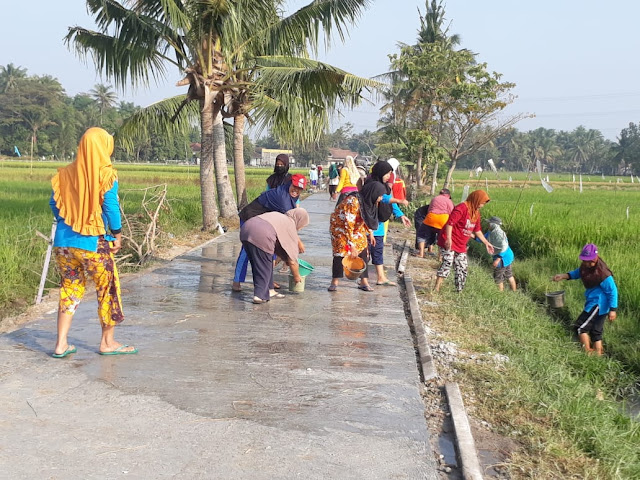 PKK RW 25 Turun Kejalan Siram Hasil Betonisasi TMMD Kodim Klaten