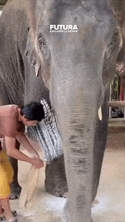 daily_gifdump_3470_22.gif