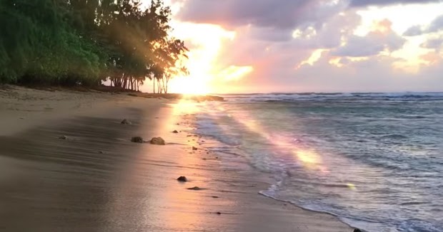 CiriCiri Pantai Menurut Para Ahli