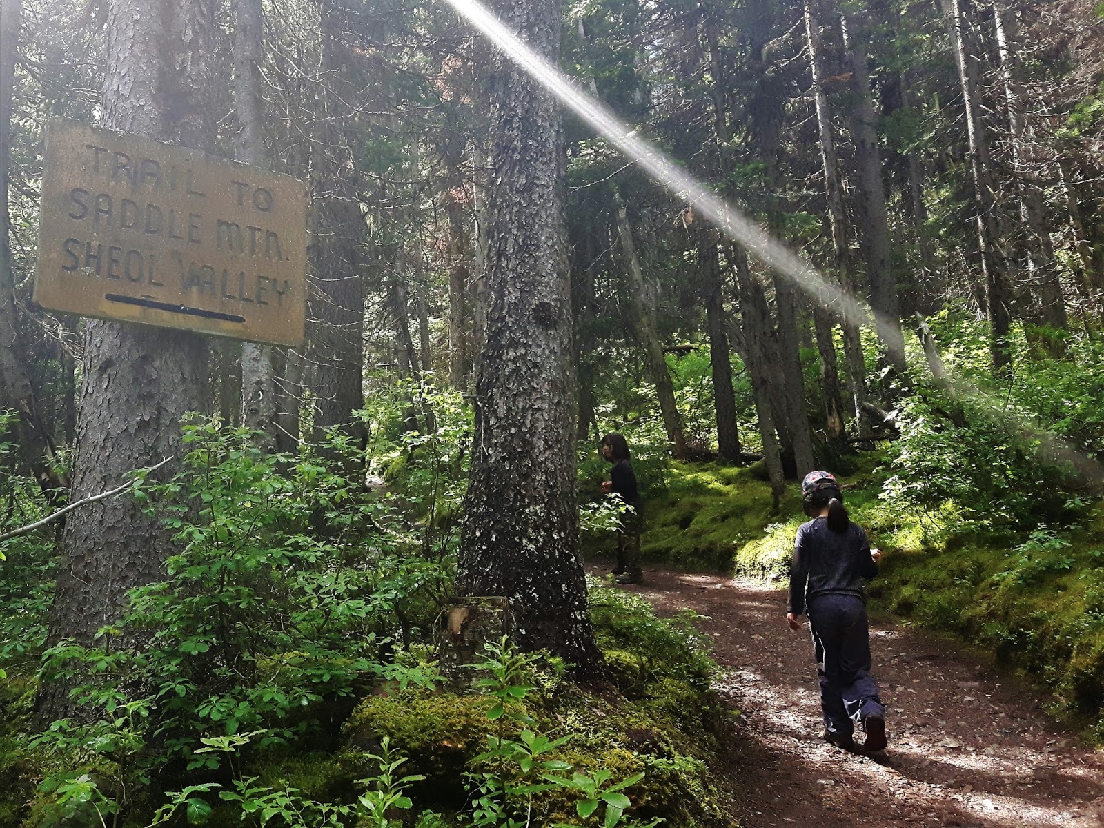 Hiking Mount Fairview, Lake Louise Play Outside Guide
