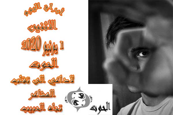 صورة