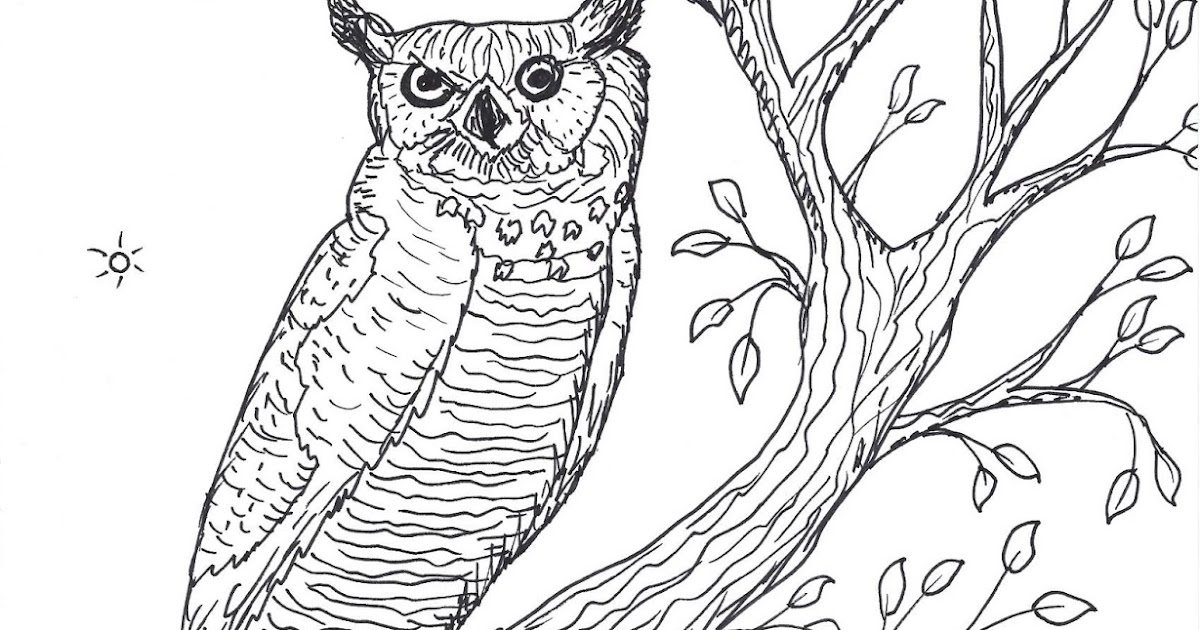 Robin's Great Coloring Pages Great Horned Owl