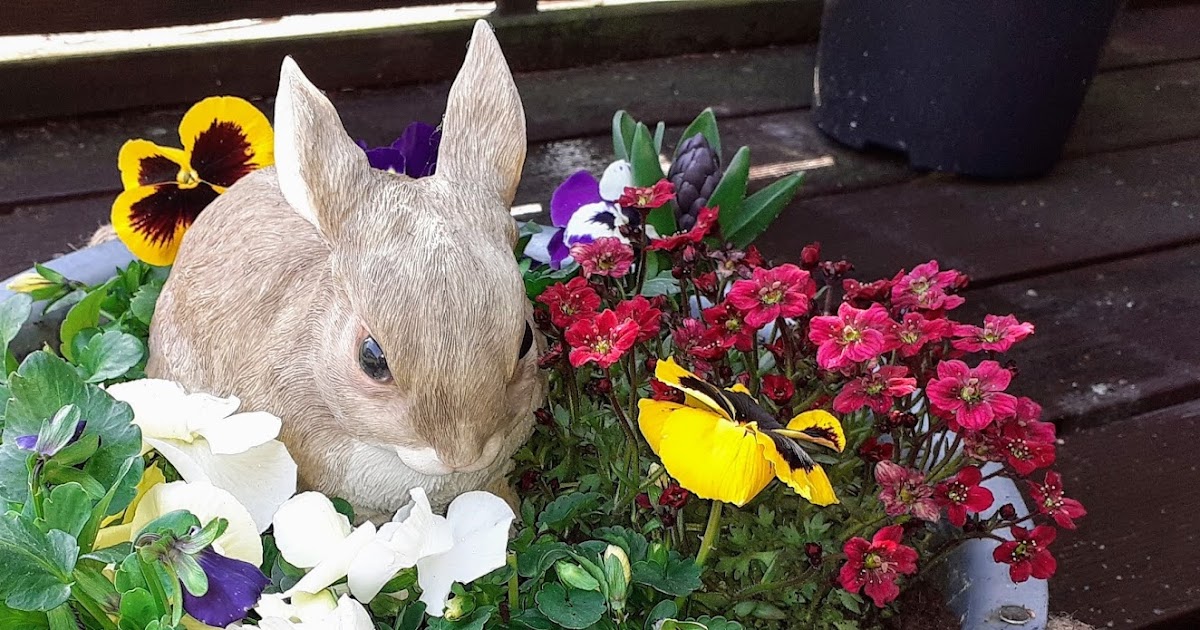 Januar 2018 Cuxhaven News