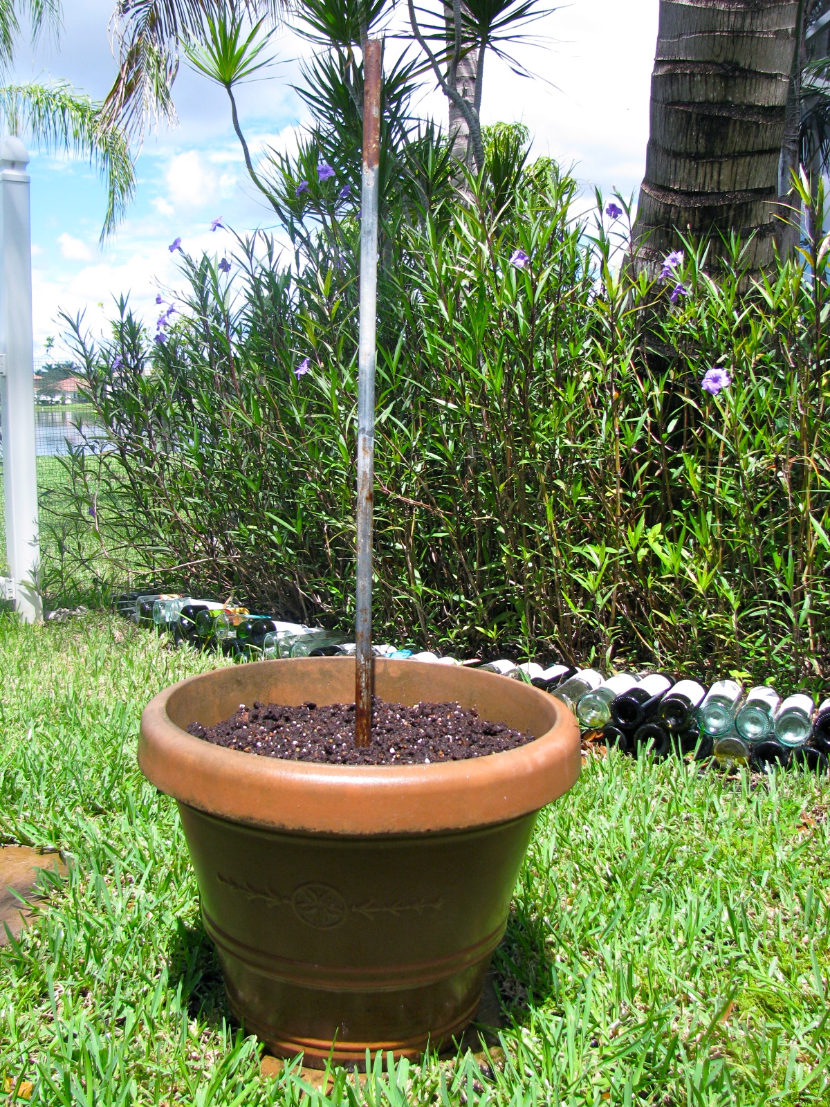 MAY DAYS How To Make A TipsyPot