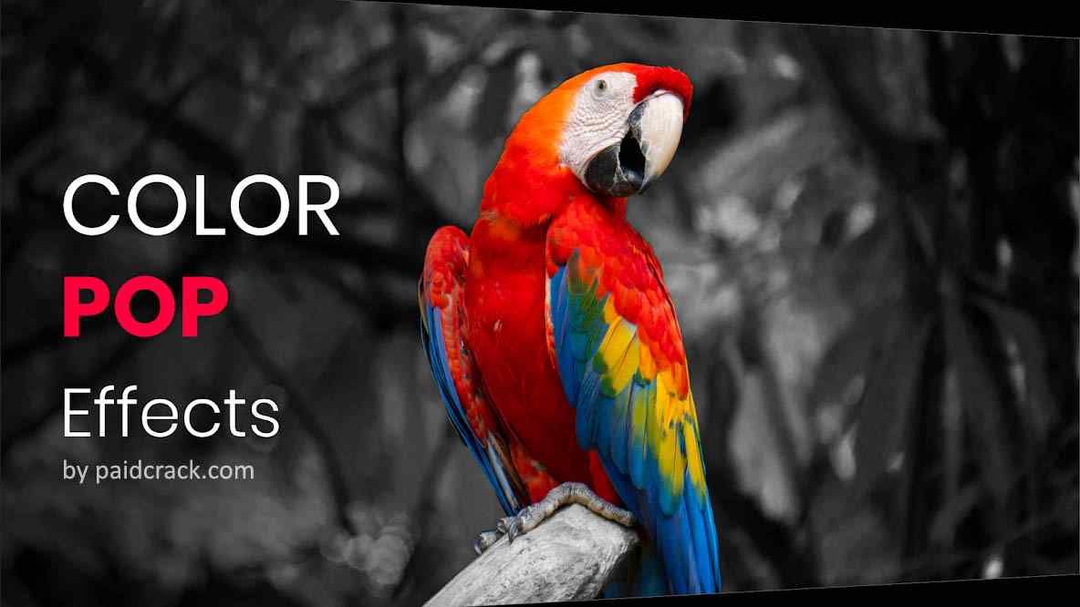 Color Pop Effects - Photo Editor Pro Mod Apk 3.3 Color Pop Effects - Photo Editor Pro Mod Apk 3.3